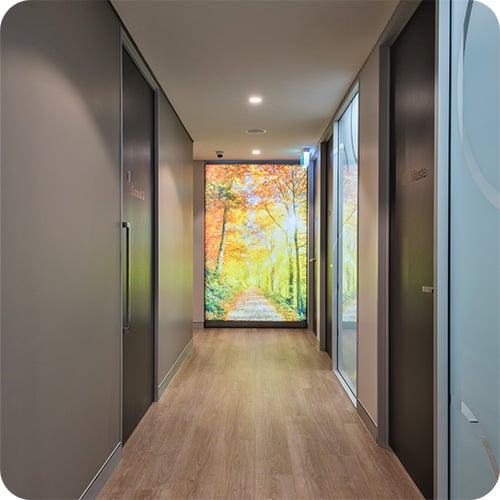 Focal point design in medical practice