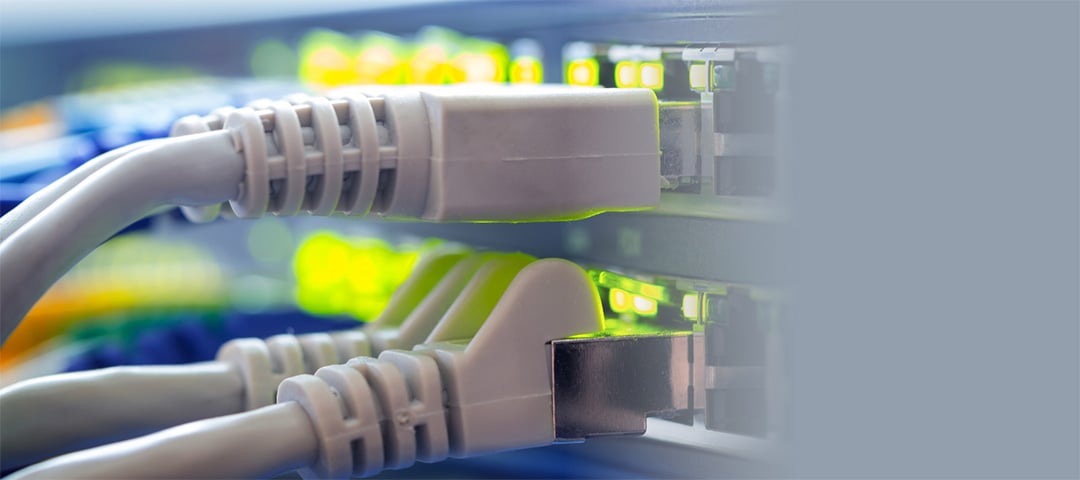 Network cables plugged into a network switch