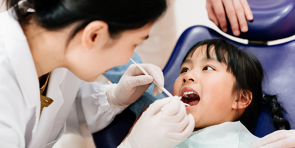Child having her teeth cleaned by a dentist