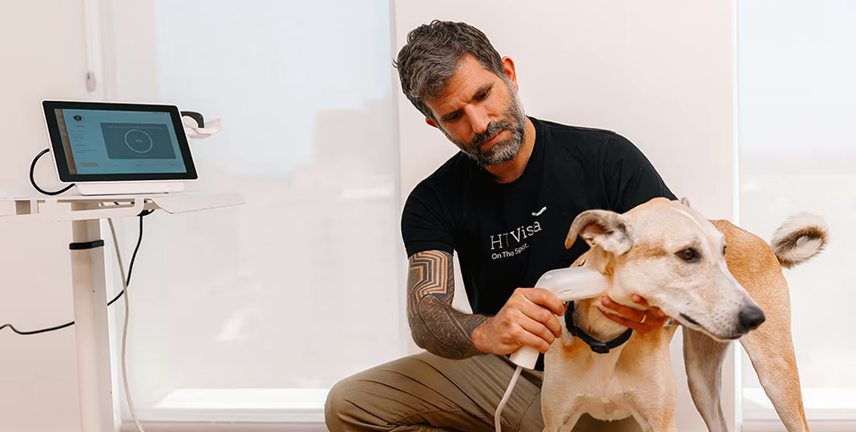 Vet using Vet Edge HT Vista MD-85 to scan dog for cancer