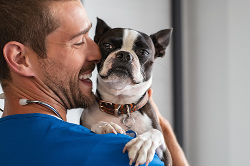 Smiling male vet holding dog over his shoulder