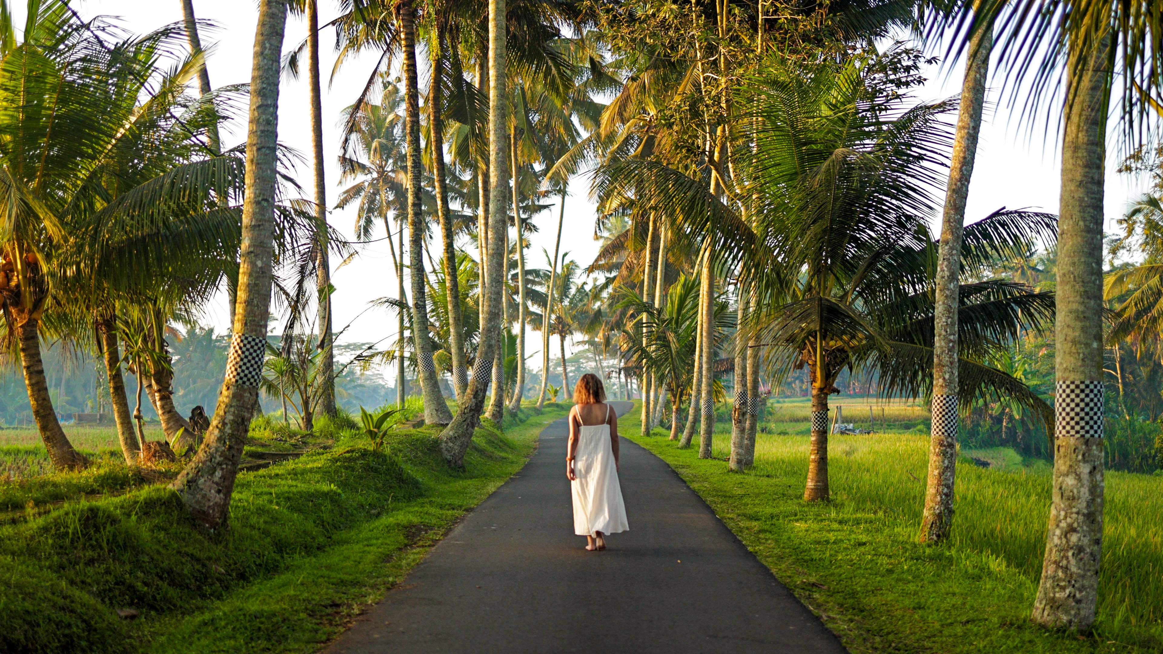 Person walking through Balinese tree-lined alley